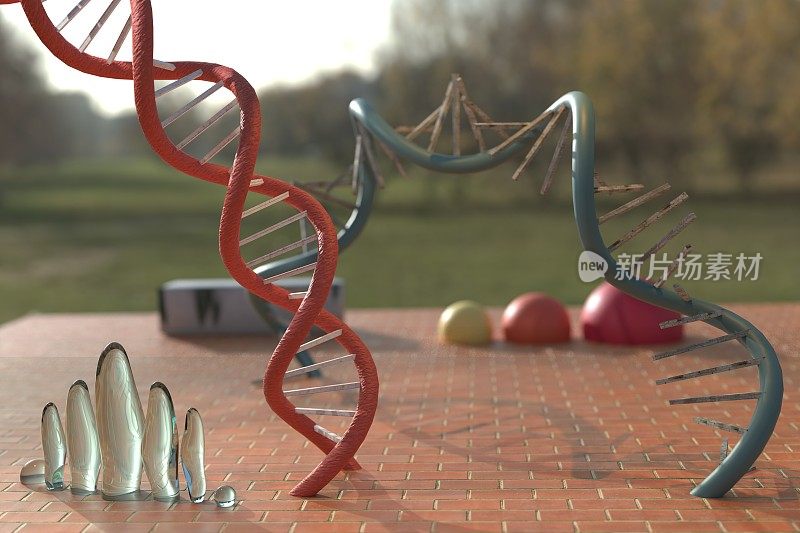 DNA RNA公园